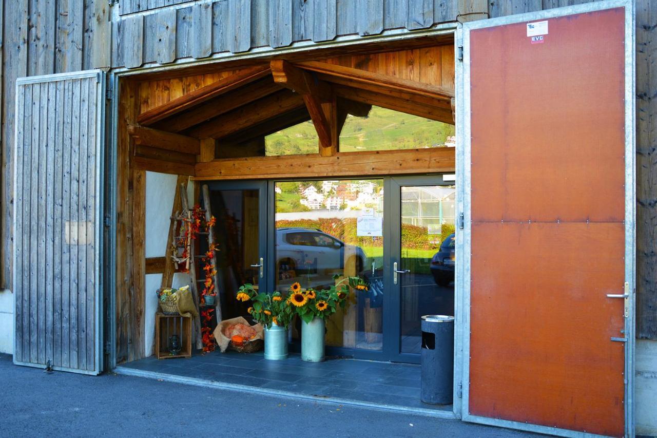 アルトシュテッテン Ribelhof Bed & Breakfast エクステリア 写真